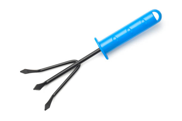 istock Garden Rake Isolated on White Background 916537522