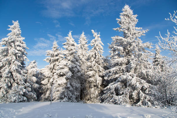 istock Snow in Winterberg, Germany 916552248