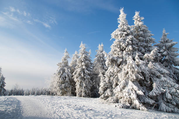 istock Snow in Winterberg, Germany 916552838