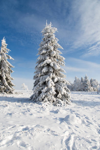 istock Snow in Winterberg, Germany 916553038