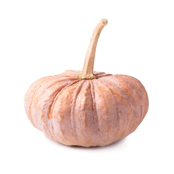 istock Orange vegetable for pumpkin soup and other squash products isolated on white background 916555308