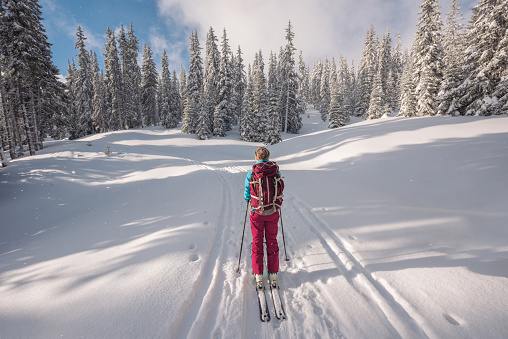 Back view of woman carrying large backpack ski touring on snow-capped forest path
