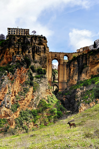 Ronda is a town in the Malaga province of Andalusia. Beautiful view of the Puente Nuevo and El Tajo Gorge . The Parador Nacional can be seen on top of the cliff at the left side. A horse in the foreground.