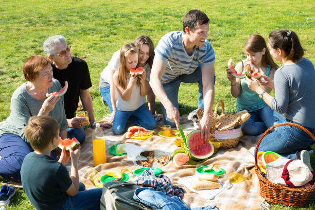 istock People of different ages sitting and talking on picnic 916575700
