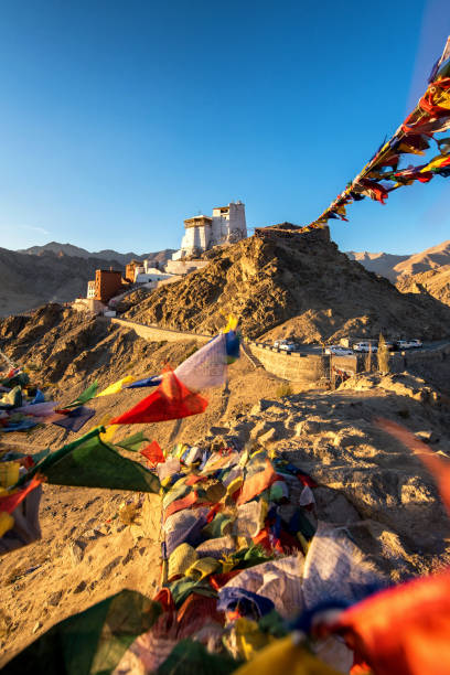 Namgyal Tsemo Gompa in Leh, Ladakh, India. Namgyal Tsemo Gompa in Leh, Ladakh, India. leh district stock pictures, royalty-free photos & images