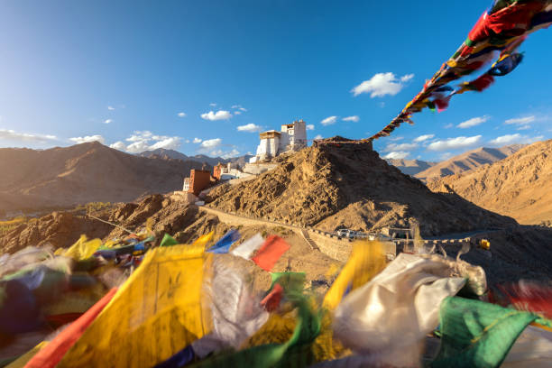 Namgyal Tsemo Gompa in Leh, Ladakh, India. Namgyal Tsemo Gompa in Leh, Ladakh, India. gompa stock pictures, royalty-free photos & images