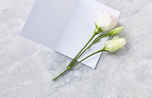 istock Prairie Gentian Flowers on a Blank Greeting Card 916578760
