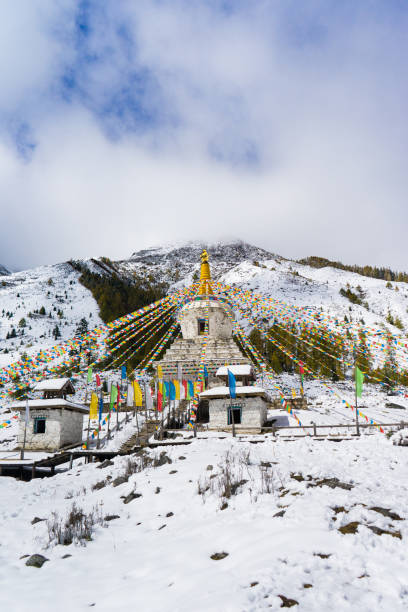 pagoda bianca del tibet - beleive foto e immagini stock
