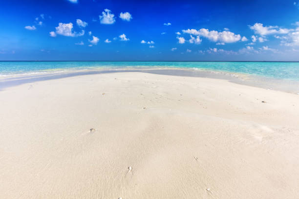 Tropical beach with white sand and clear turquoise ocean. Maldives islands.