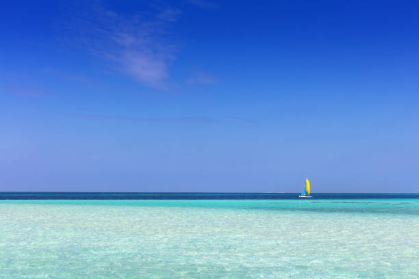 istock Tropical beach with white sand and clear turquoise ocean. Maldives 916582602