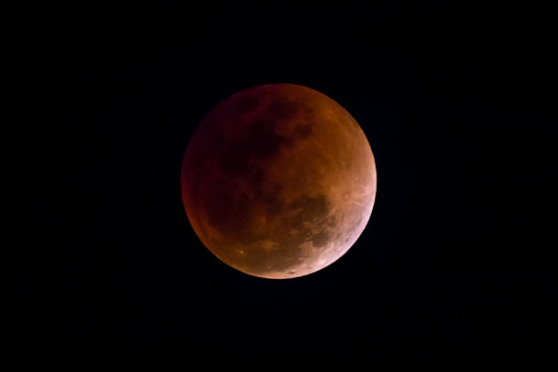 istock Blood Moon in the lunar eclipse and also a Blue Moon and super moon isolated on black background 916585688