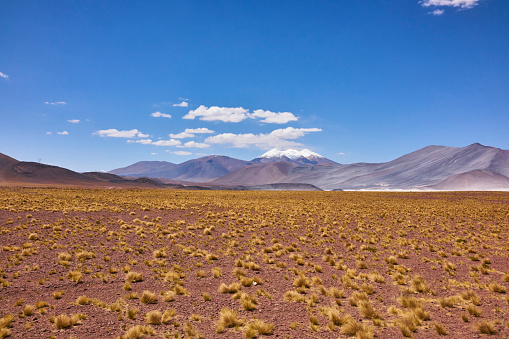 The arid landscape at the Miniques volcano group in Chile.