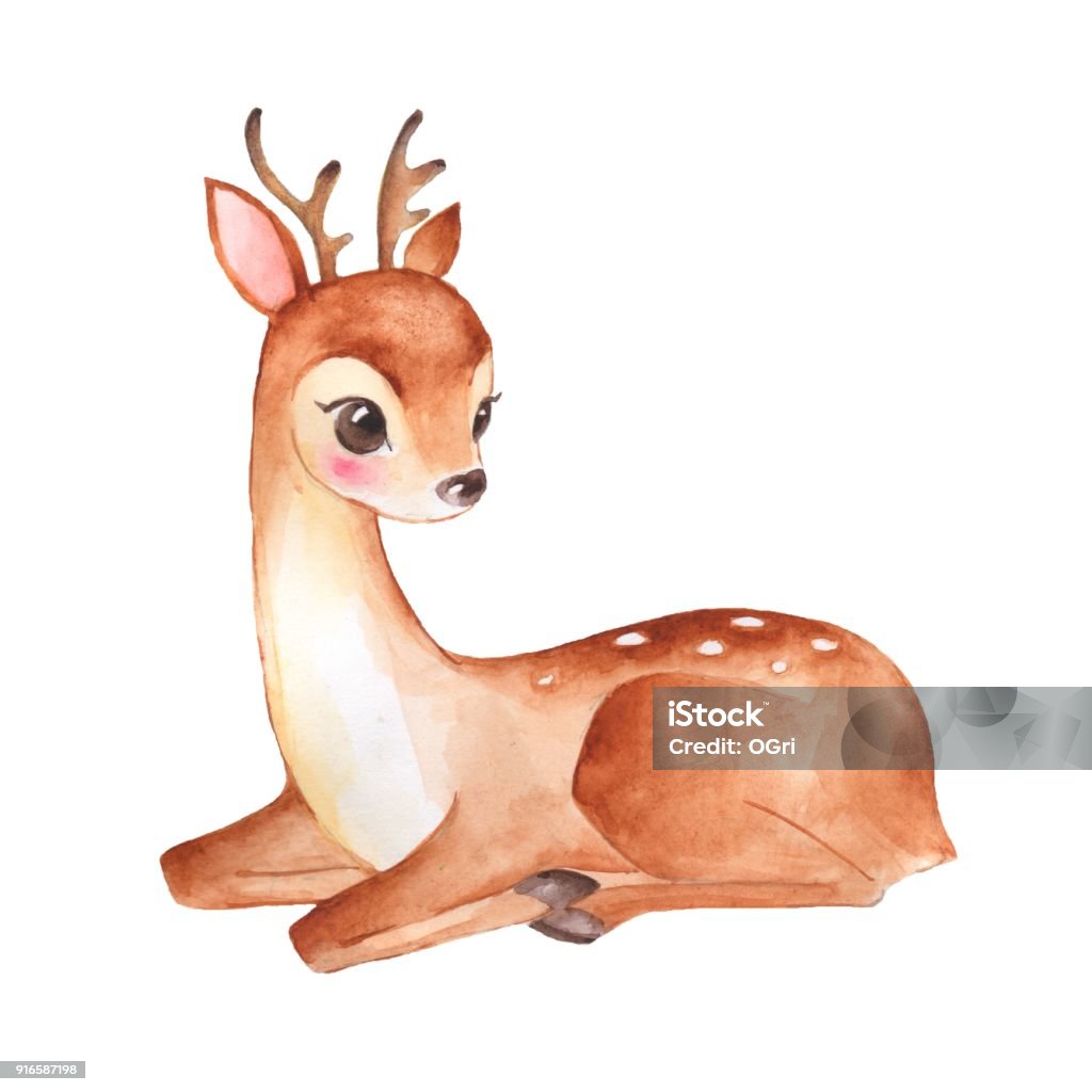 Baby Deer Cute Fawn Stock Illustration - Download Image Now - Animal, Fawn  - Young Deer, Painting - Activity - iStock