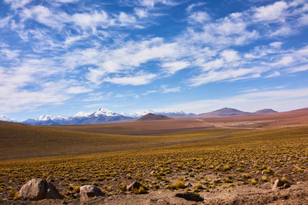istock Arid Atacama Desert Terrain and Snow Capped Andes Peaks 916587500