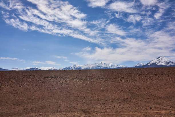 Arid landscape of the Atacama desert with the Andes Mountain range in the background. A clear blue sky with clouds hangs above.