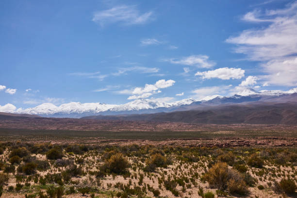 istock Arid Atacama Desert Terrain and Snow Capped Andes Peaks 916587536