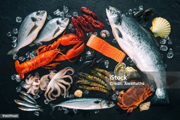 Fresh Fish And Seafood Arrangement On Black Stone Stock Photo - Download Image Now - Seafood, Fish, Freshness