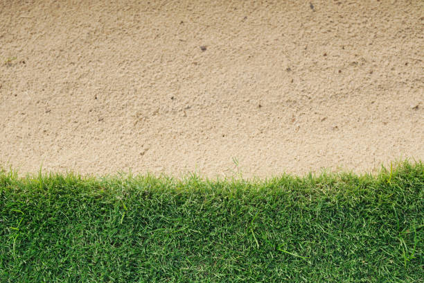 istock background of green grass with sand bunker in a golf course 916596054