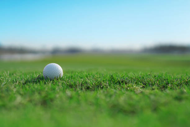 istock golf ball on a green fairway grass 916596204