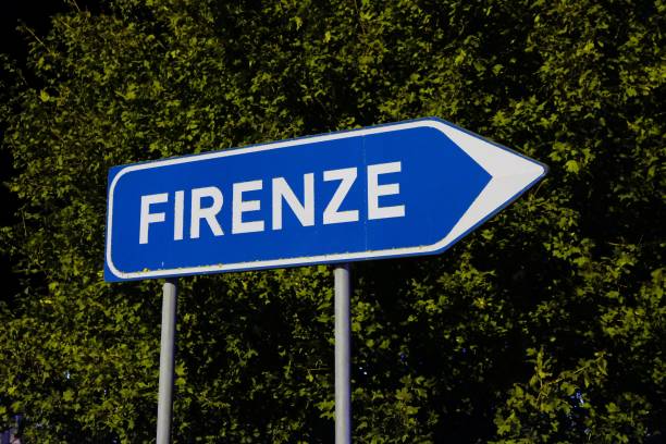istock Highway blue sign to Florence 916599742