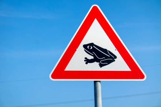 Frogs crossing the road warning sign against blue sky