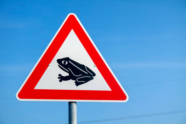 istock Frogs crossing the road warning sign 916602120
