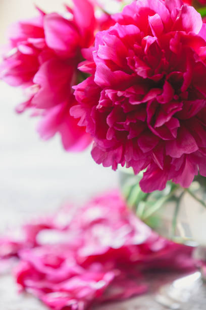 istock red peonies in glass vase stand on table 916602390