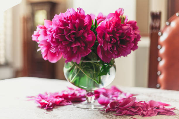 istock red peonies in glass vase stand on table 916602624