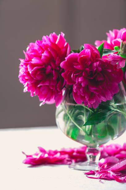 istock red peonies in glass vase stand on table 916602686