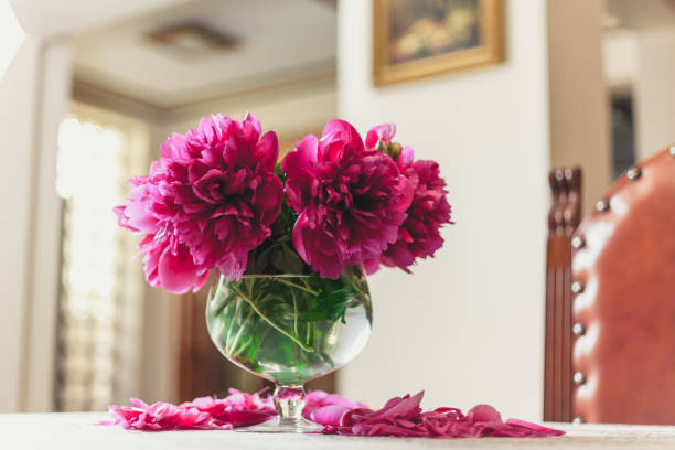 istock red peonies in glass vase stand on table 916602808