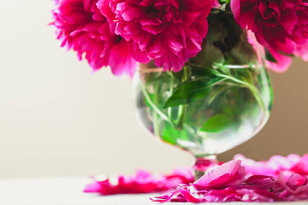 istock red peonies in glass vase stand on table 916602902