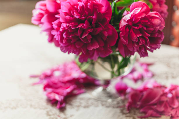 istock red peonies in glass vase stand on table 916603284
