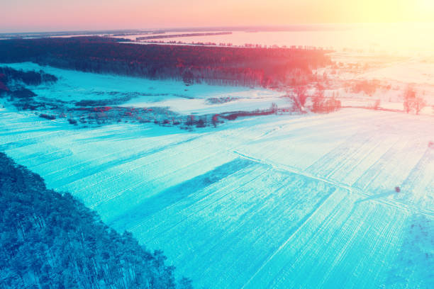 Rural winter landscape. Aerial view. Field covered with snow and forest