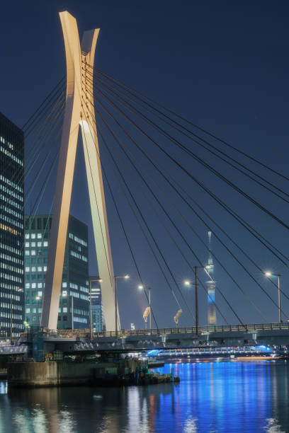 istock Chuo-Ohashi Bridge and Tokyo Skytree with Illumination 916617996