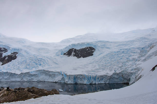 istock Antarctic seascape with ice 916621388