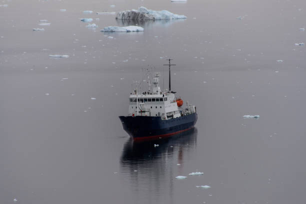 istock Expedition ship in Antarctic sea 916621560