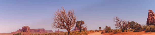 モニュメント バレーの砂の道。アリゾナ州の旅行。北アメリカの自然の魅力 - north american tribal culture photography color image horizontal ストックフォトと画像