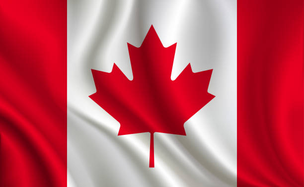 illustrations, cliparts, dessins animés et icônes de drapeau de canada fond - flag canada canadian flag maple leaf