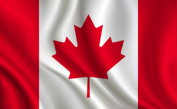 캐나다 플랙 배경기술 - canadian flag canada flag maple leaf stock illustrations