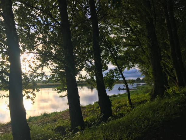 istock Forest river landscape in the afternoon. 916629276