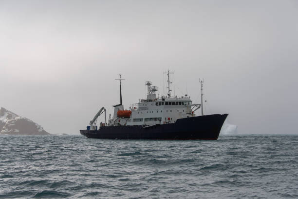istock Expedition ship in Antarctic sea 916636514