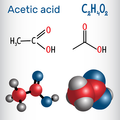 Acetic acid (ethanoic) molecule. Structural chemical formula and molecule model. Vector illustration