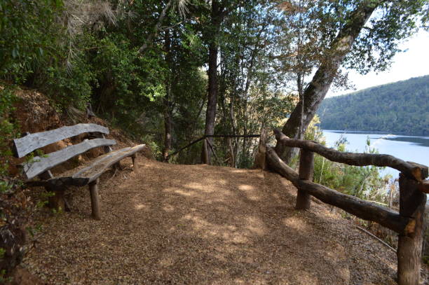 istock Huerquehue National Park 916637208