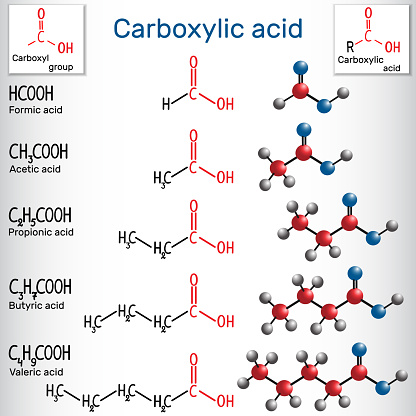 Carboxylic acids (formic, acetic, propionic, butyric, valeric). Homologous series of straight-chain, saturated carboxylic acids. Structural chemical formula and molecule model. Vector illustration