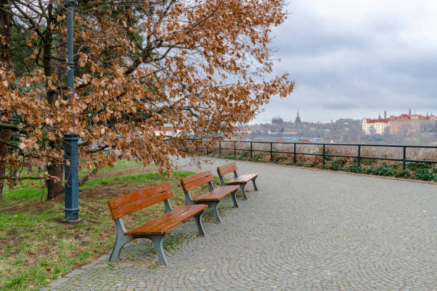 istock Autumn landscape with view on Prague 916644030