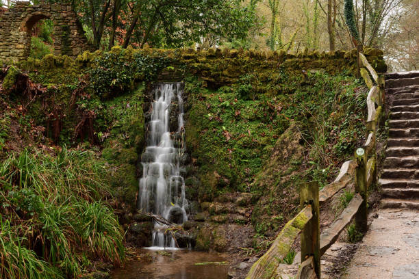 istock Ninesprings park in Yeovil in Somerset 916644132