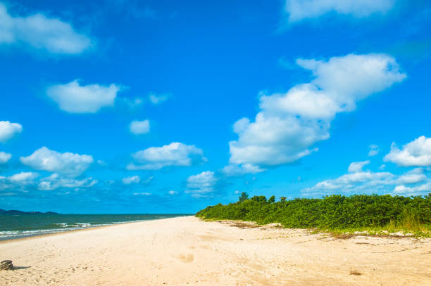 istock The sea invading the mangroves 916646586
