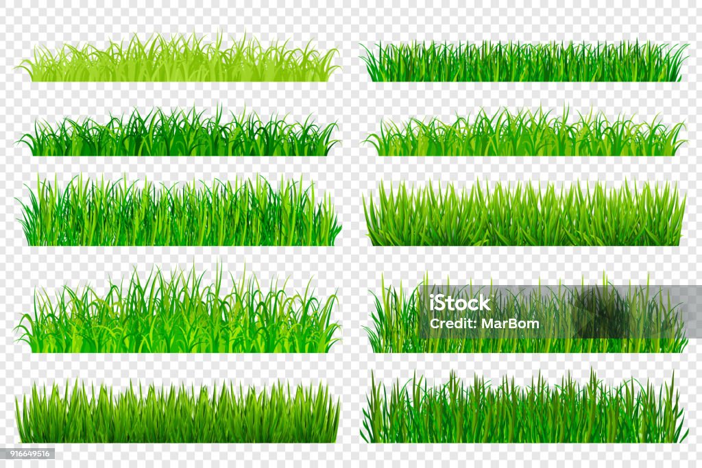 Spring green grass borders isolated on transparent background. Vector illustration Grass stock vector