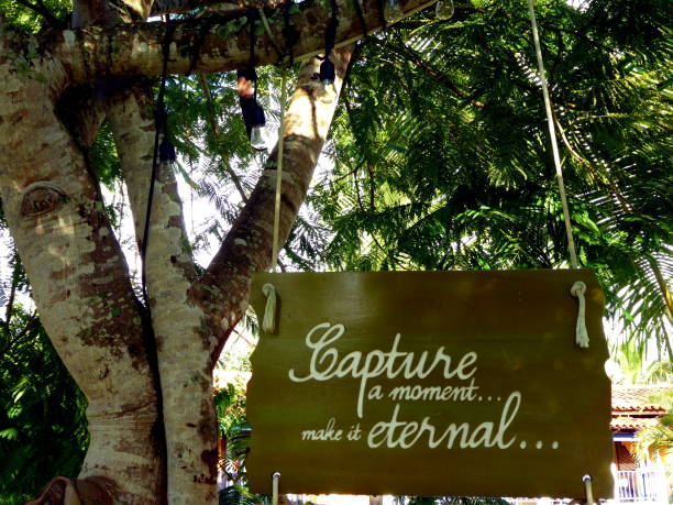 istock Capture a moment sigh hanging in the trees with text make it eternal 916650158