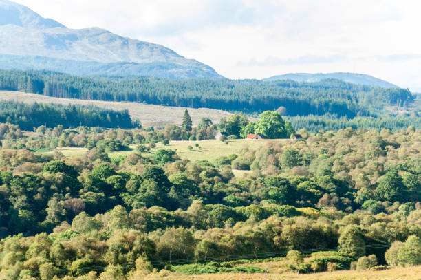 istock Landscape with beautiful green scottish forest, mountains and valleys 916650590